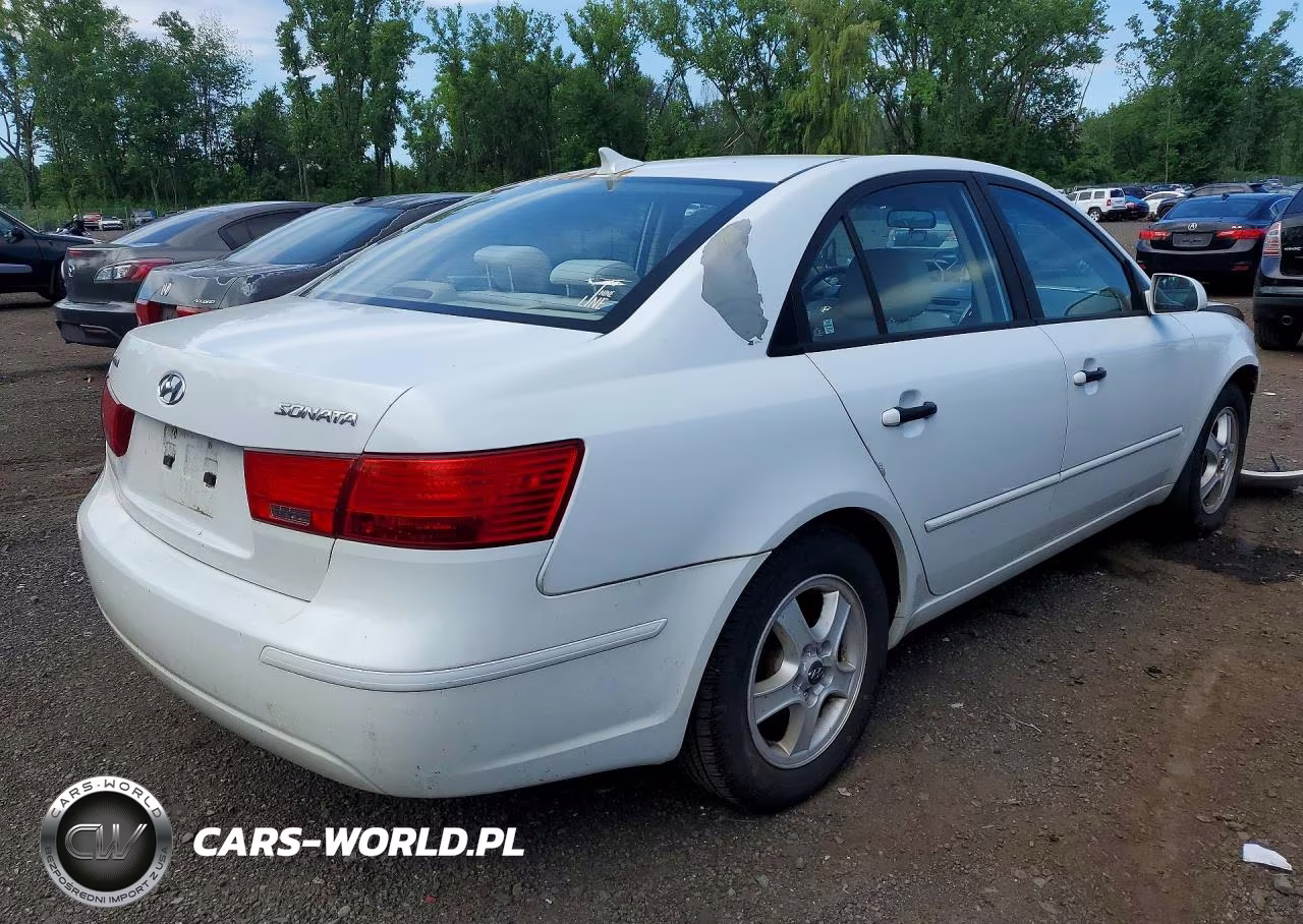 2010 Hyundai Sonata Gls VIN:5NPET4AC8AH602937 - 3