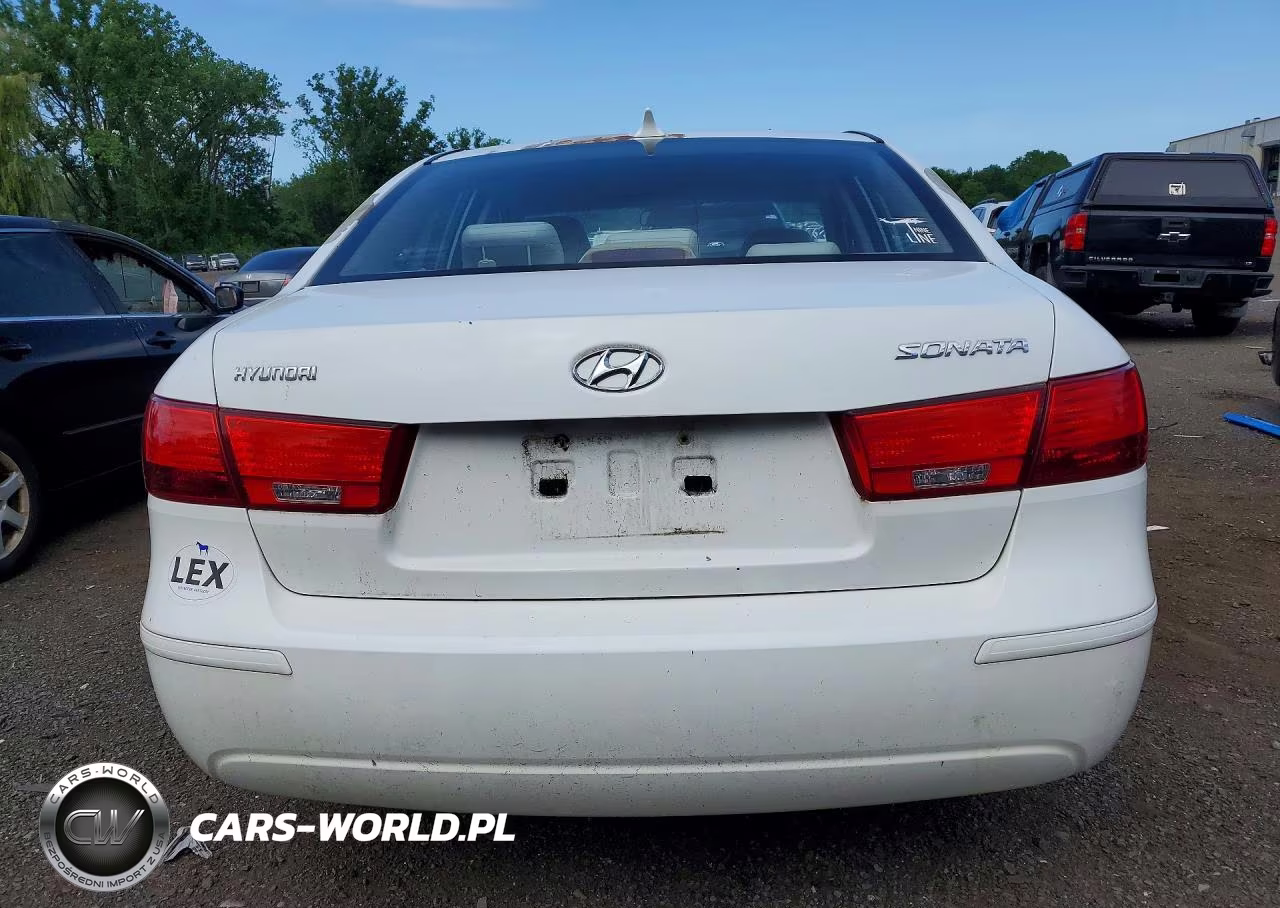 2010 Hyundai Sonata Gls VIN:5NPET4AC8AH602937 - 6