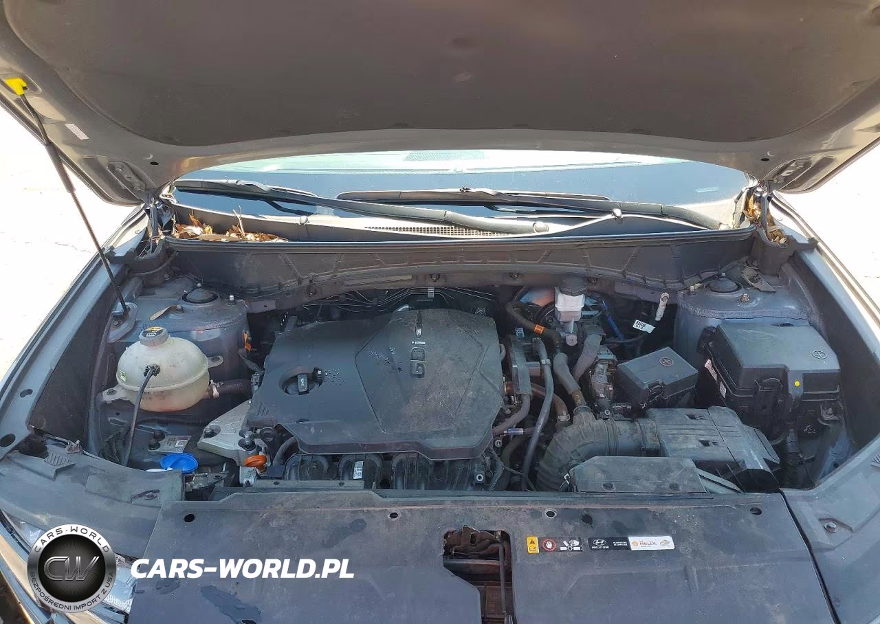 2024 Hyundai Tucson Sel VIN:KM8JB3DE6RU276125 - 12