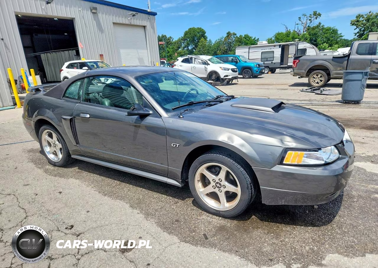 2003 Ford Mustang Gt VIN:1FAFP42X23F428666 - 4