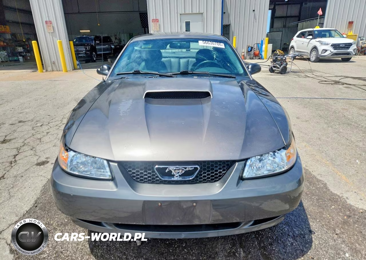 2003 Ford Mustang Gt VIN:1FAFP42X23F428666 - 5
