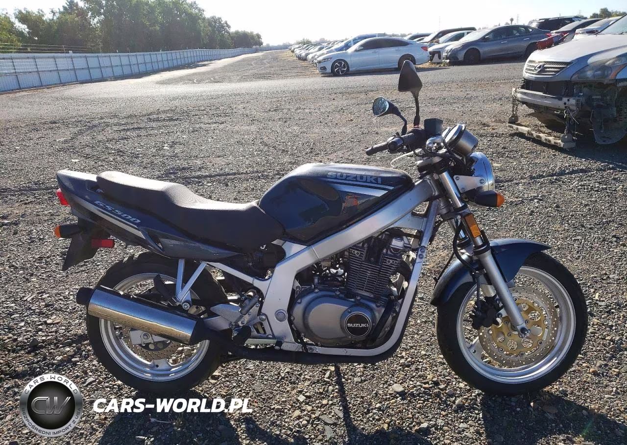 2001 Suzuki Gs500 – zdjęcie 1 z 9