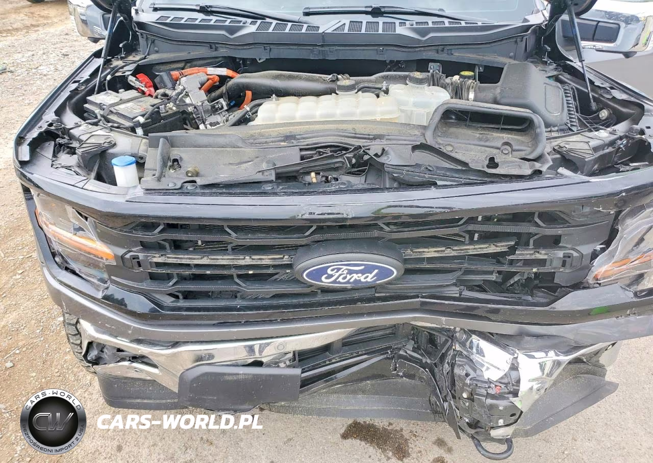 2024 Ford F150 Xlt VIN:1FTFW3LD2RFA31642 - 11
