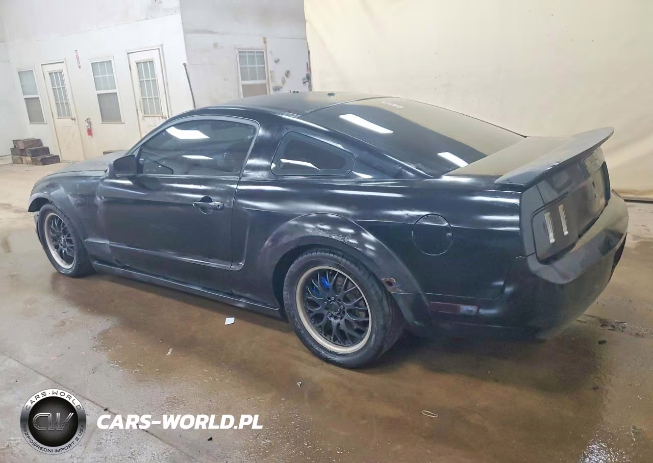 2006 Ford Mustang VIN:1ZVFT80N265150373 - 2