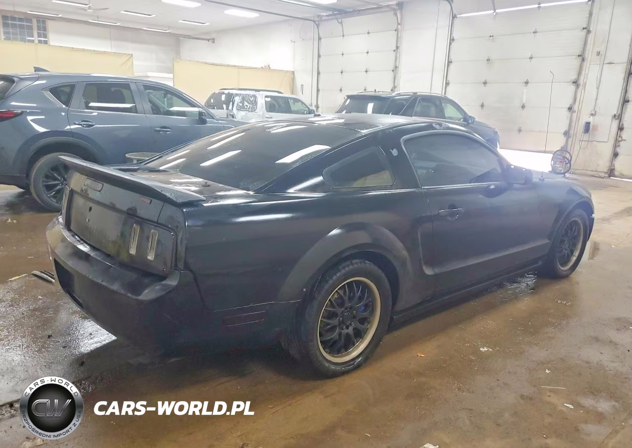2006 Ford Mustang VIN:1ZVFT80N265150373 - 3