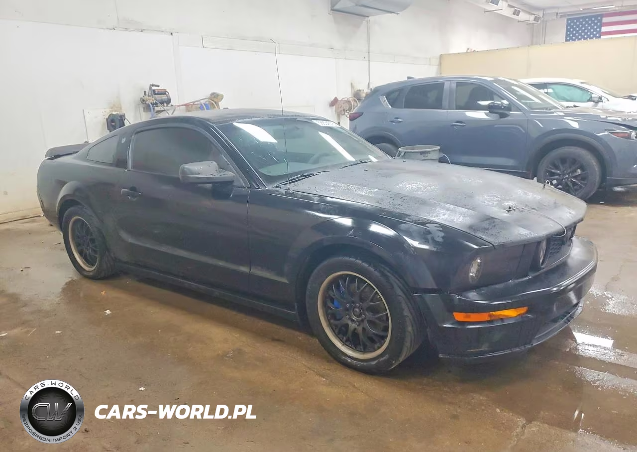 2006 Ford Mustang VIN:1ZVFT80N265150373 - 4