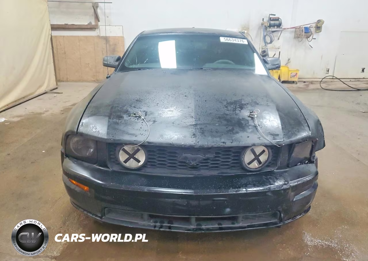 2006 Ford Mustang VIN:1ZVFT80N265150373 - 5