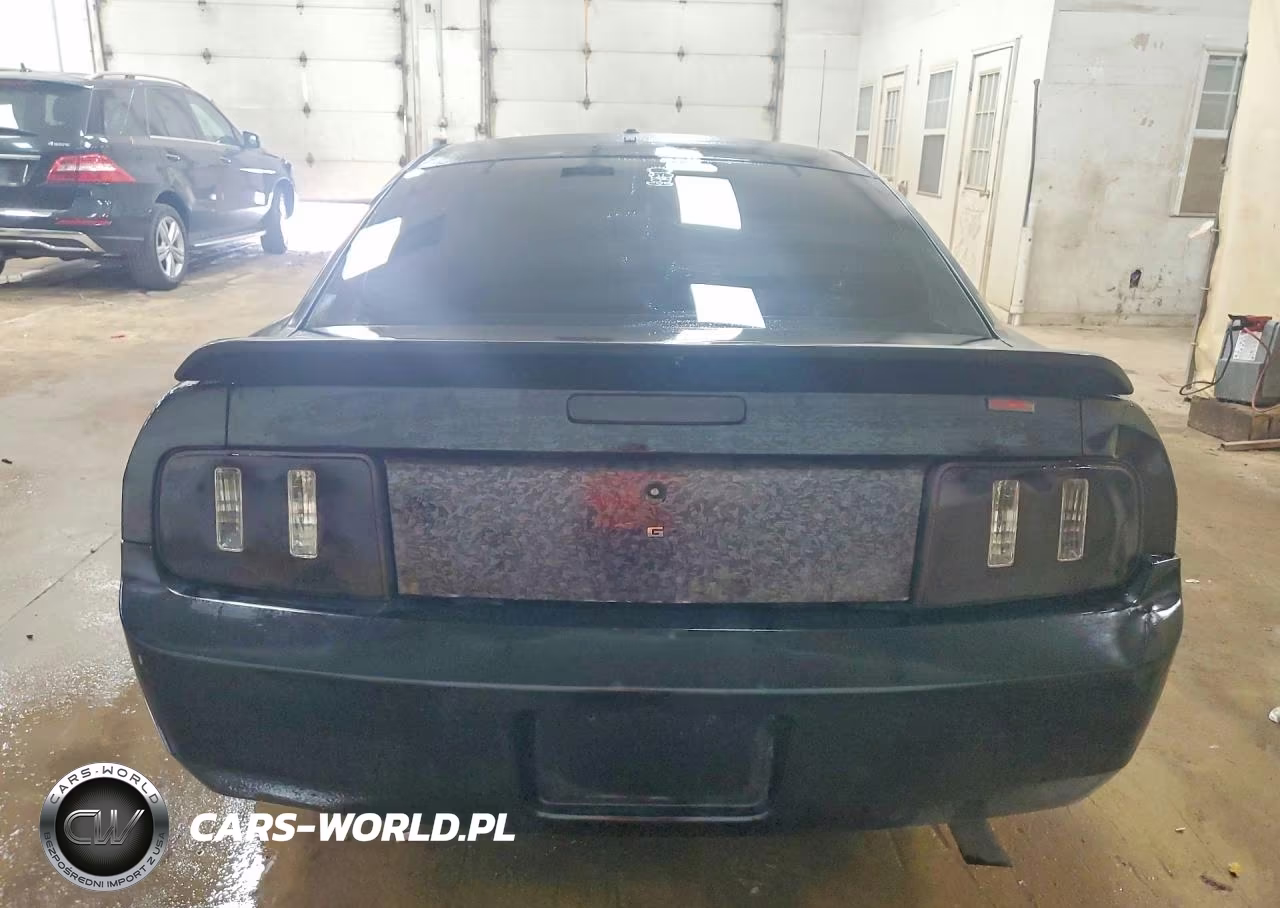 2006 Ford Mustang VIN:1ZVFT80N265150373 - 6