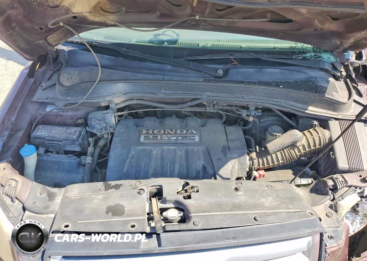 2007 Honda Pilot Exl VIN:5FNYF28627B032255 - 12