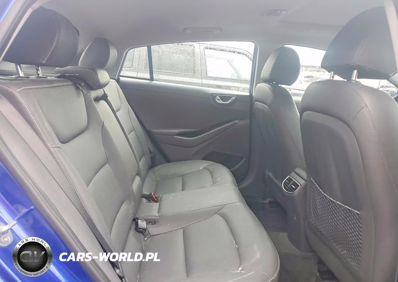 2019 Hyundai Ioniq Limited VIN:KMHC05LH7KU044564 - 10