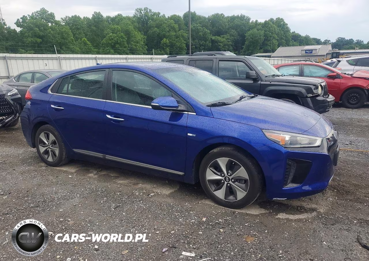 2019 Hyundai Ioniq Limited VIN:KMHC05LH7KU044564 - 4