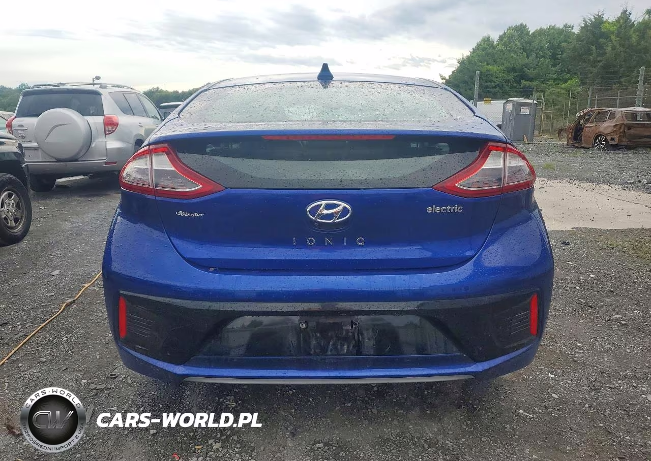 2019 Hyundai Ioniq Limited VIN:KMHC05LH7KU044564 - 6