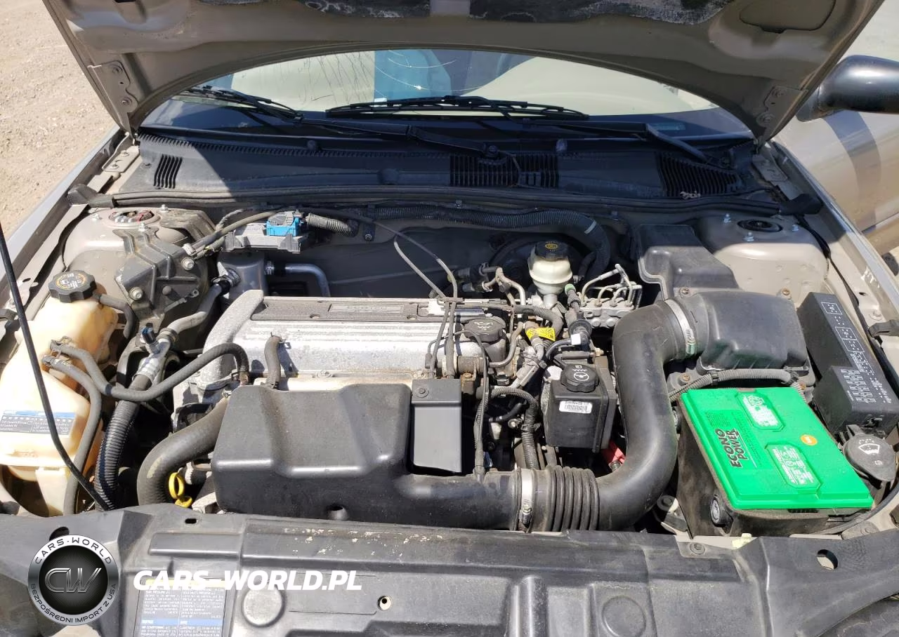 2003 Chevrolet Cavalier VIN:1G1JC52FX37239067 - 11