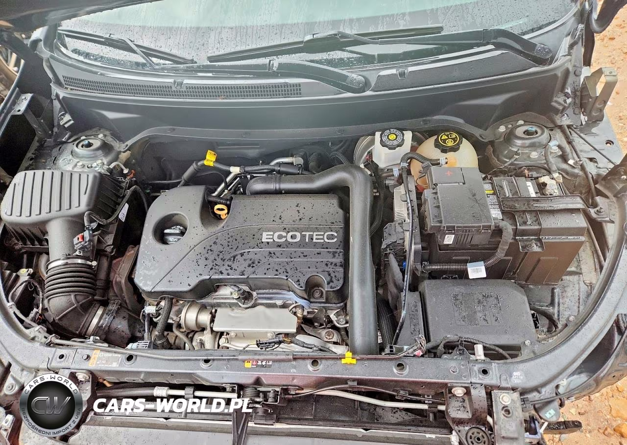 2019 Chevrolet Equinox Ls VIN:2GNAXHEV7K6119796 - 12