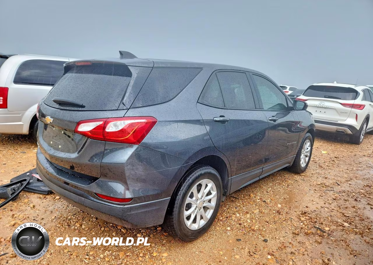 2019 Chevrolet Equinox Ls VIN:2GNAXHEV7K6119796 - 3