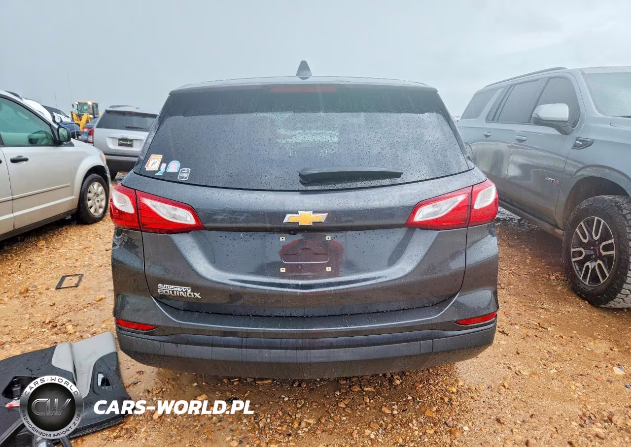 2019 Chevrolet Equinox Ls VIN:2GNAXHEV7K6119796 - 6