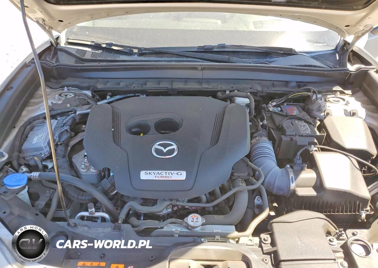 2024 Mazda Cx-30 Premium Plus VIN:3MVDMBEY3RM677696 - 11