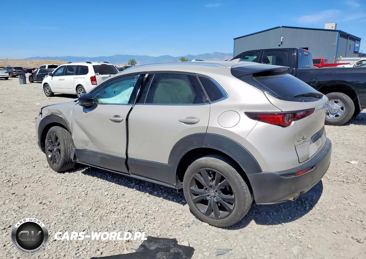2024 Mazda Cx-30 Premium Plus VIN:3MVDMBEY3RM677696 - 2