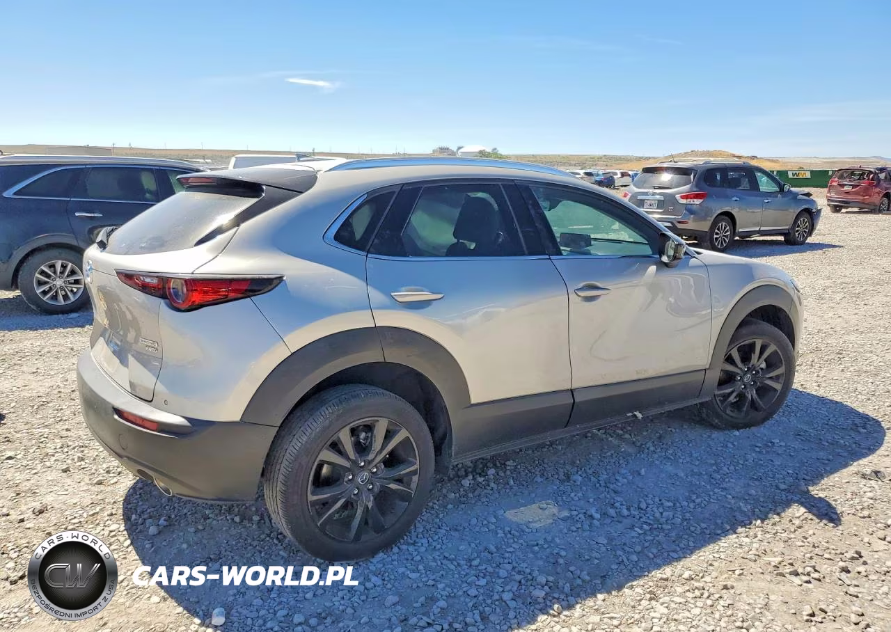 2024 Mazda Cx-30 Premium Plus VIN:3MVDMBEY3RM677696 - 3