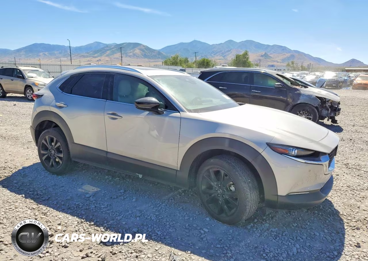 2024 Mazda Cx-30 Premium Plus VIN:3MVDMBEY3RM677696 - 4
