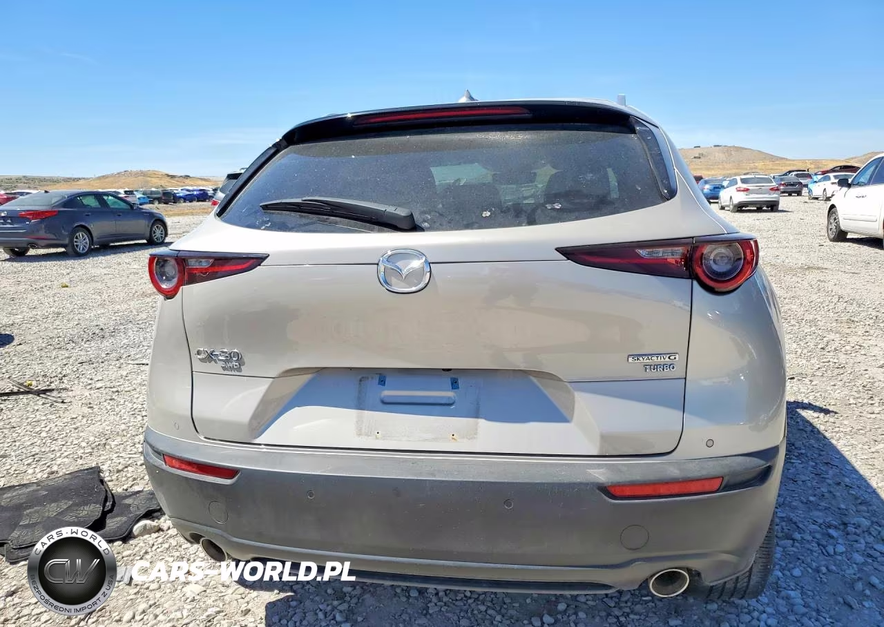 2024 Mazda Cx-30 Premium Plus VIN:3MVDMBEY3RM677696 - 6