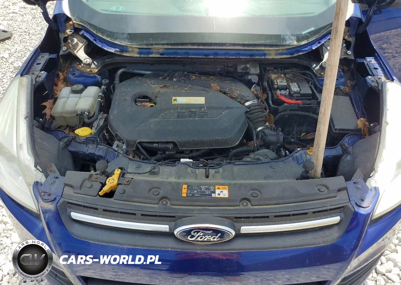 2014 Ford Escape Se VIN:1FMCU0GX5EUA20468 - 12