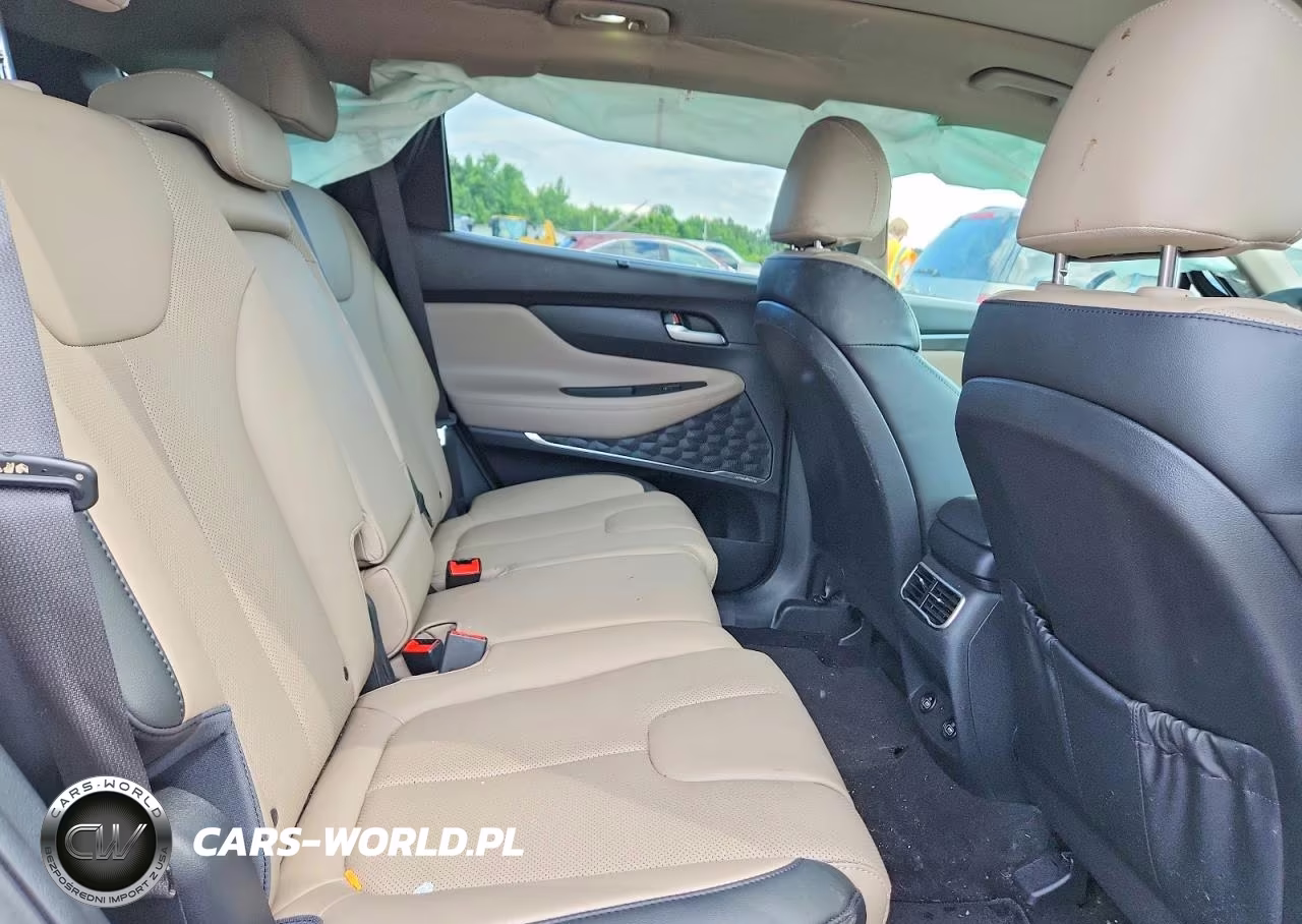2023 Hyundai Santa Fe Sel Premium VIN:5NMS34AJ1PH656586 - 11