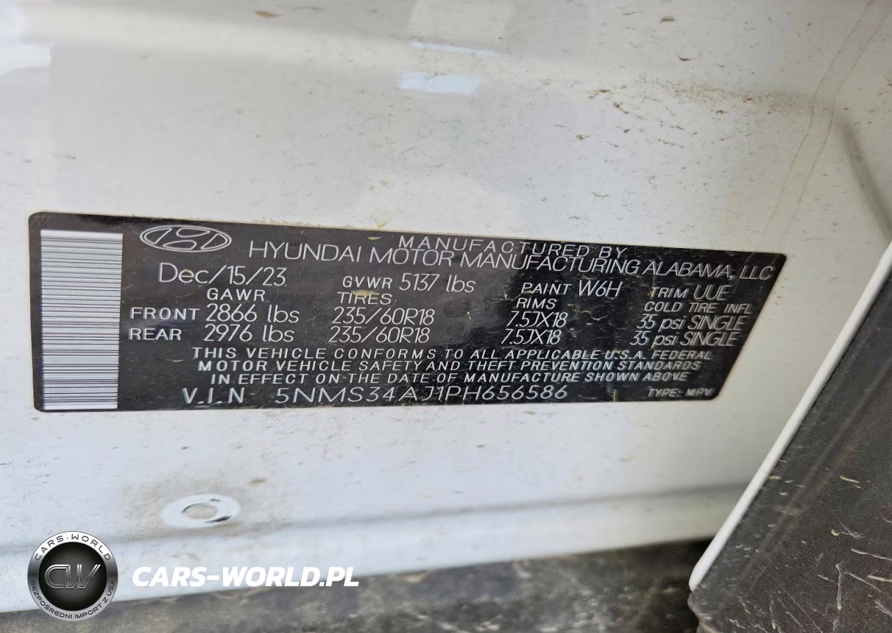 2023 Hyundai Santa Fe Sel Premium VIN:5NMS34AJ1PH656586 - 13