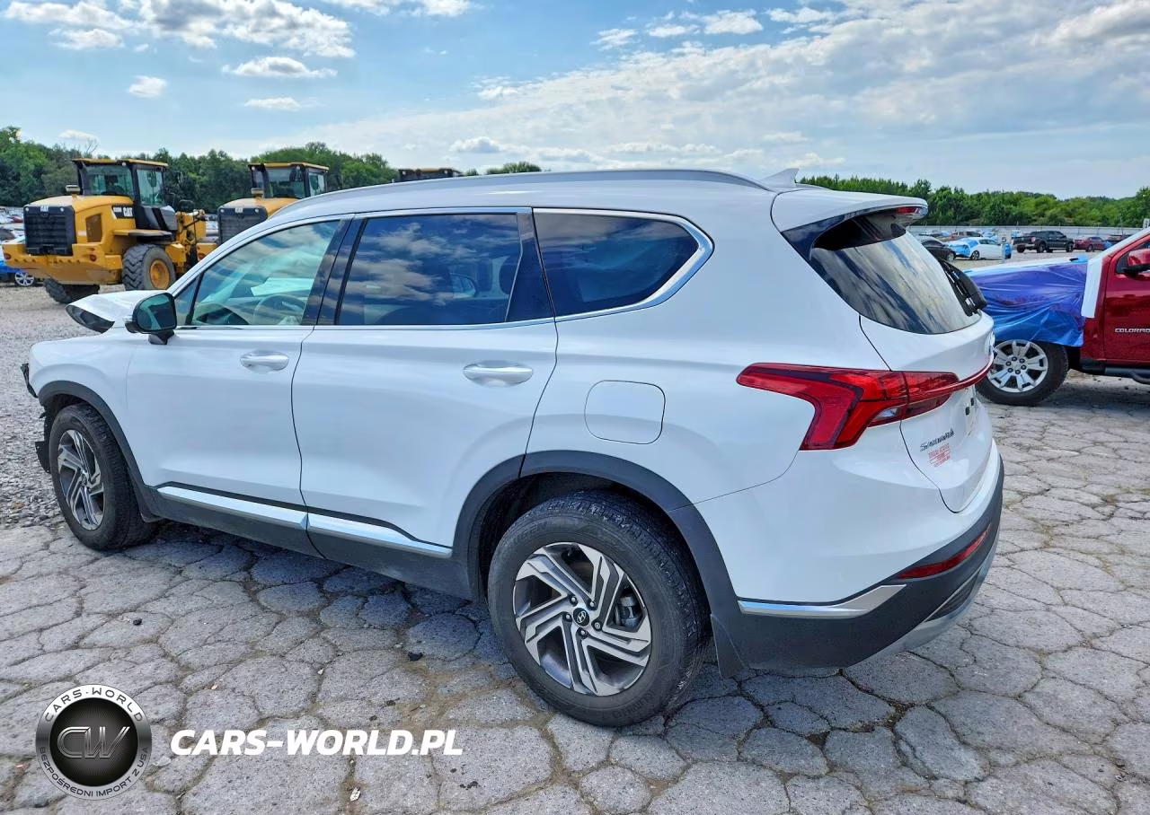 2023 Hyundai Santa Fe Sel Premium VIN:5NMS34AJ1PH656586 - 2