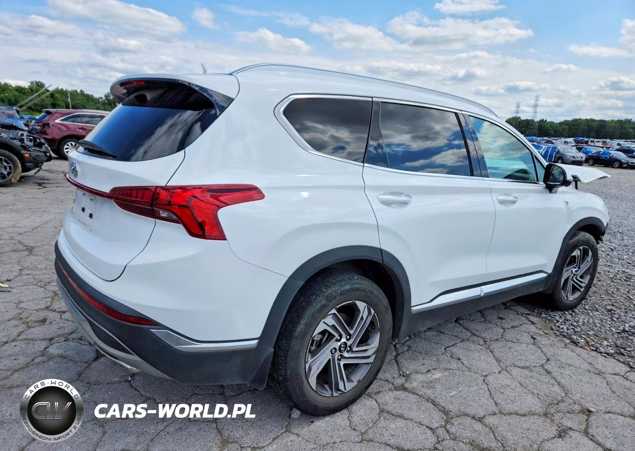 2023 Hyundai Santa Fe Sel Premium VIN:5NMS34AJ1PH656586 - 3
