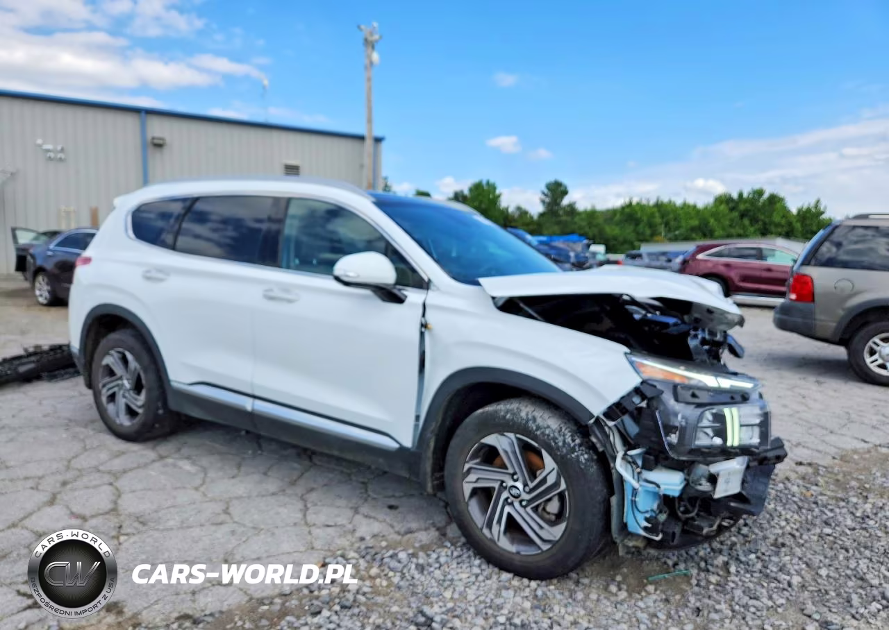 2023 Hyundai Santa Fe Sel Premium VIN:5NMS34AJ1PH656586 - 4