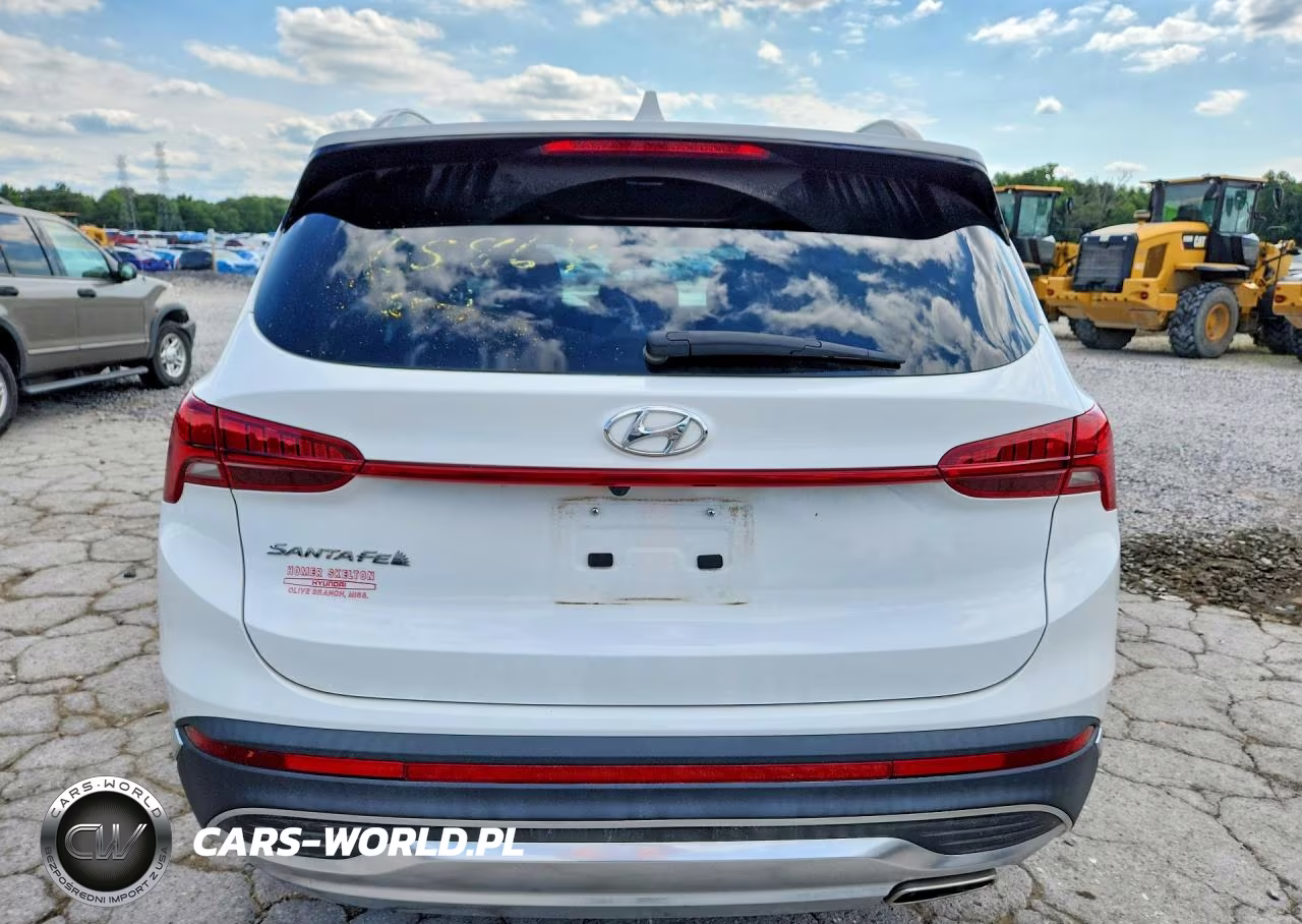 2023 Hyundai Santa Fe Sel Premium VIN:5NMS34AJ1PH656586 - 6