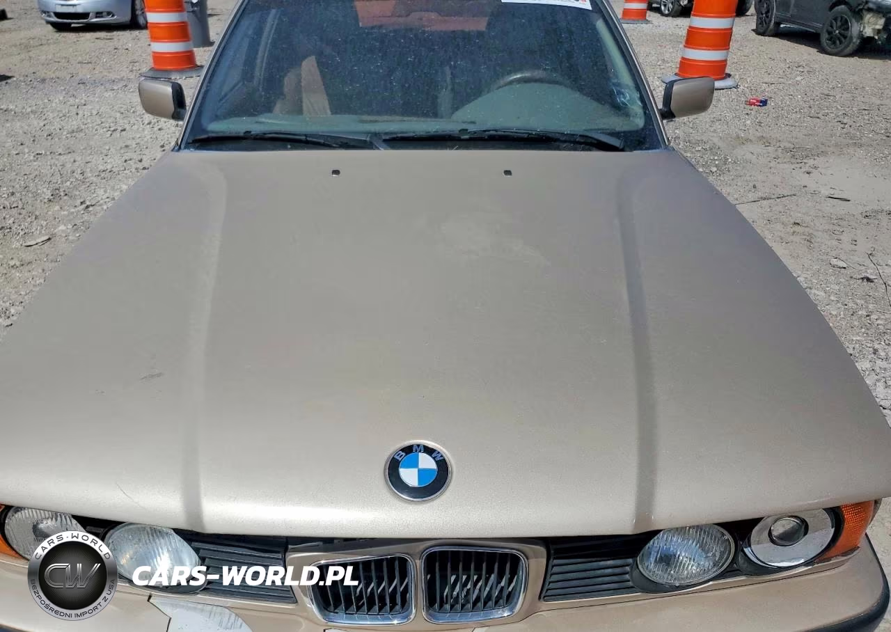 1995 BMW 525 I Automatic VIN:WBAHD6320SGK85913 - 11