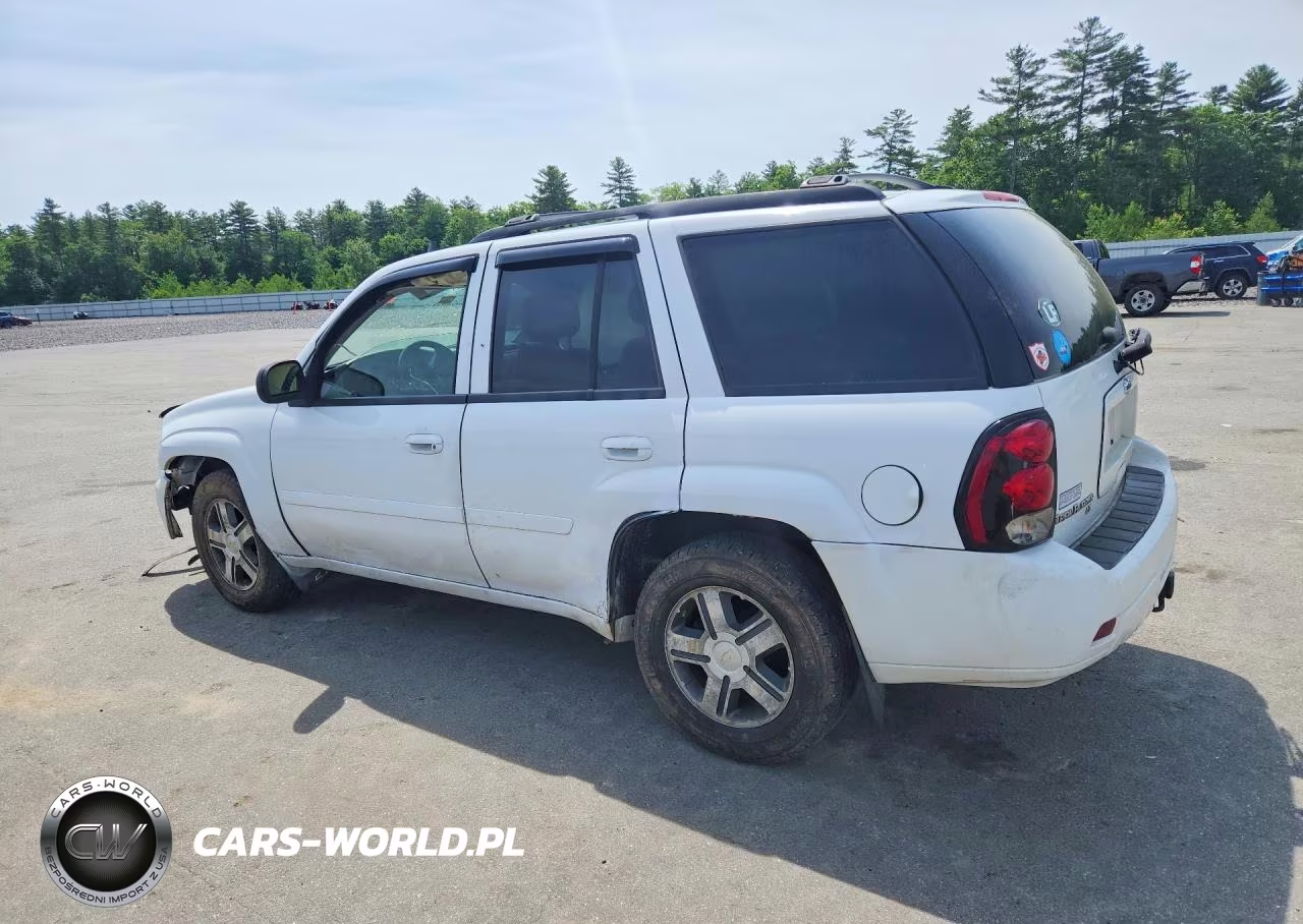 2008 Chevrolet Trailblazer Ls VIN:1GNDT13S782137245 - 2