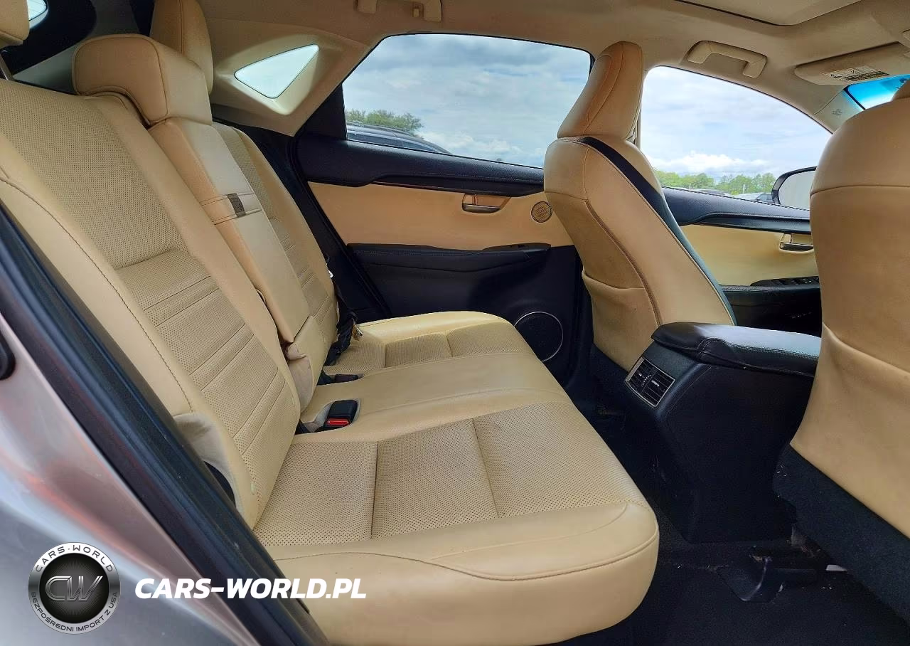2015 Lexus Nx 200T VIN:JTJYARBZ9F2015123 - 11