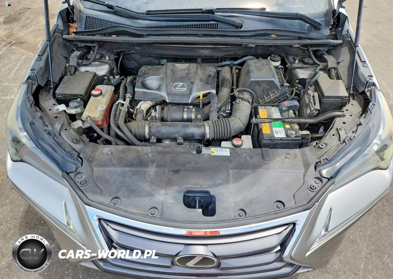 2015 Lexus Nx 200T VIN:JTJYARBZ9F2015123 - 12