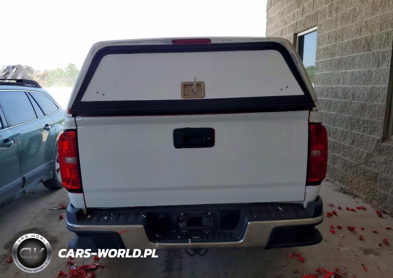 2019 Chevrolet Colorado VIN:1GCHSBEA1K1247714 - 6