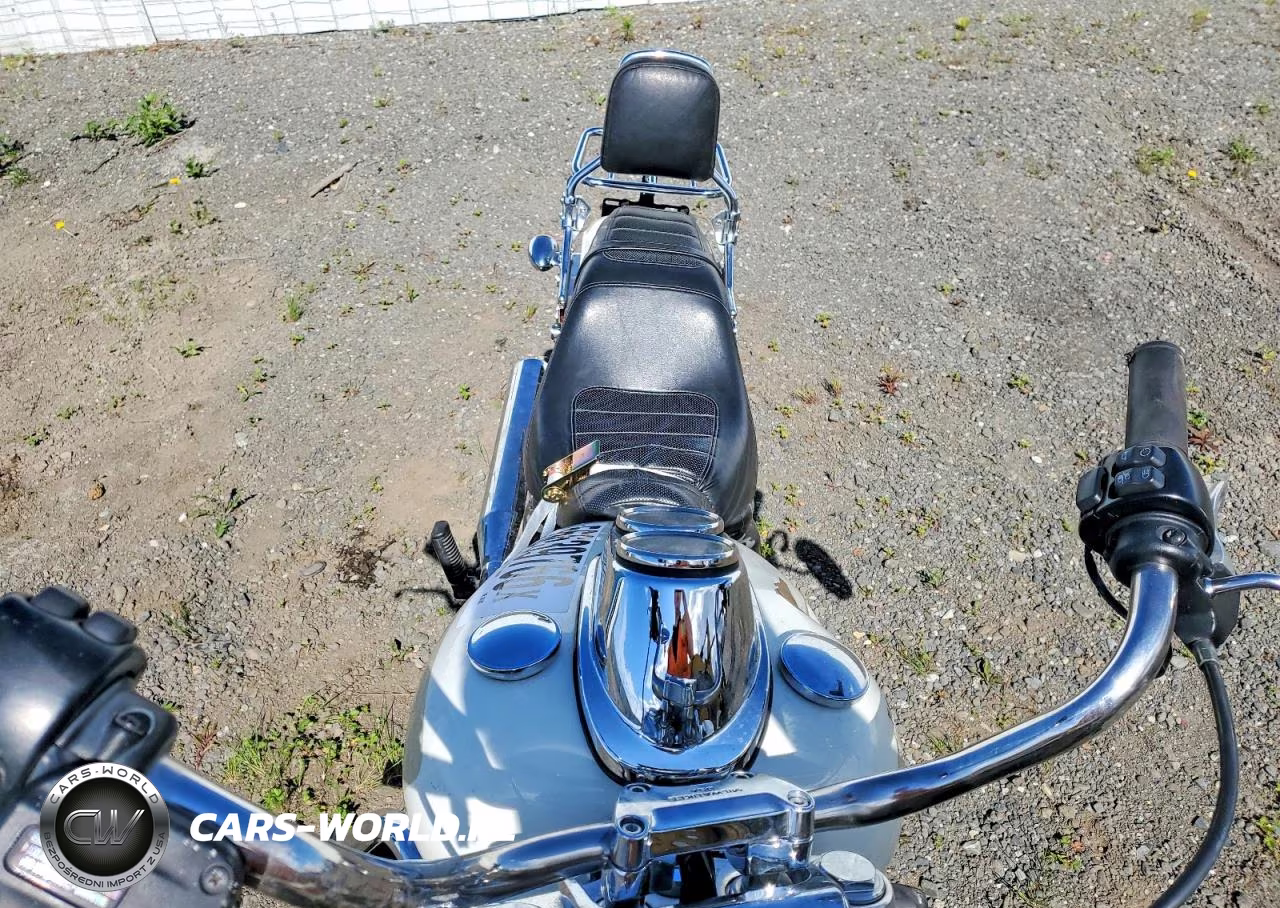 2018 Harley-Davidson Fxlr Low Rider VIN:1HD1YNJ18JC067302 - 5