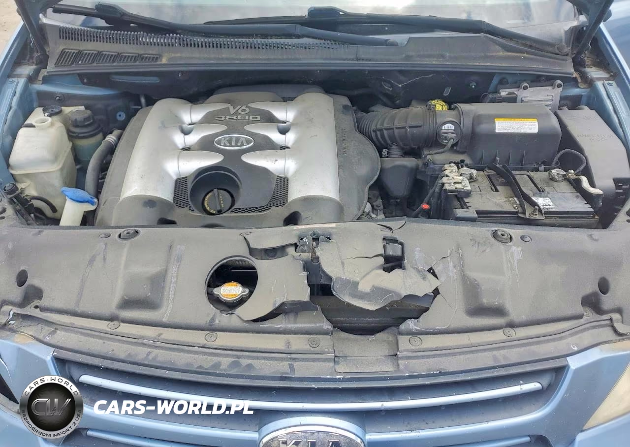 2006 Kia Sedona Lx VIN:KNDMB233366078551 - 12