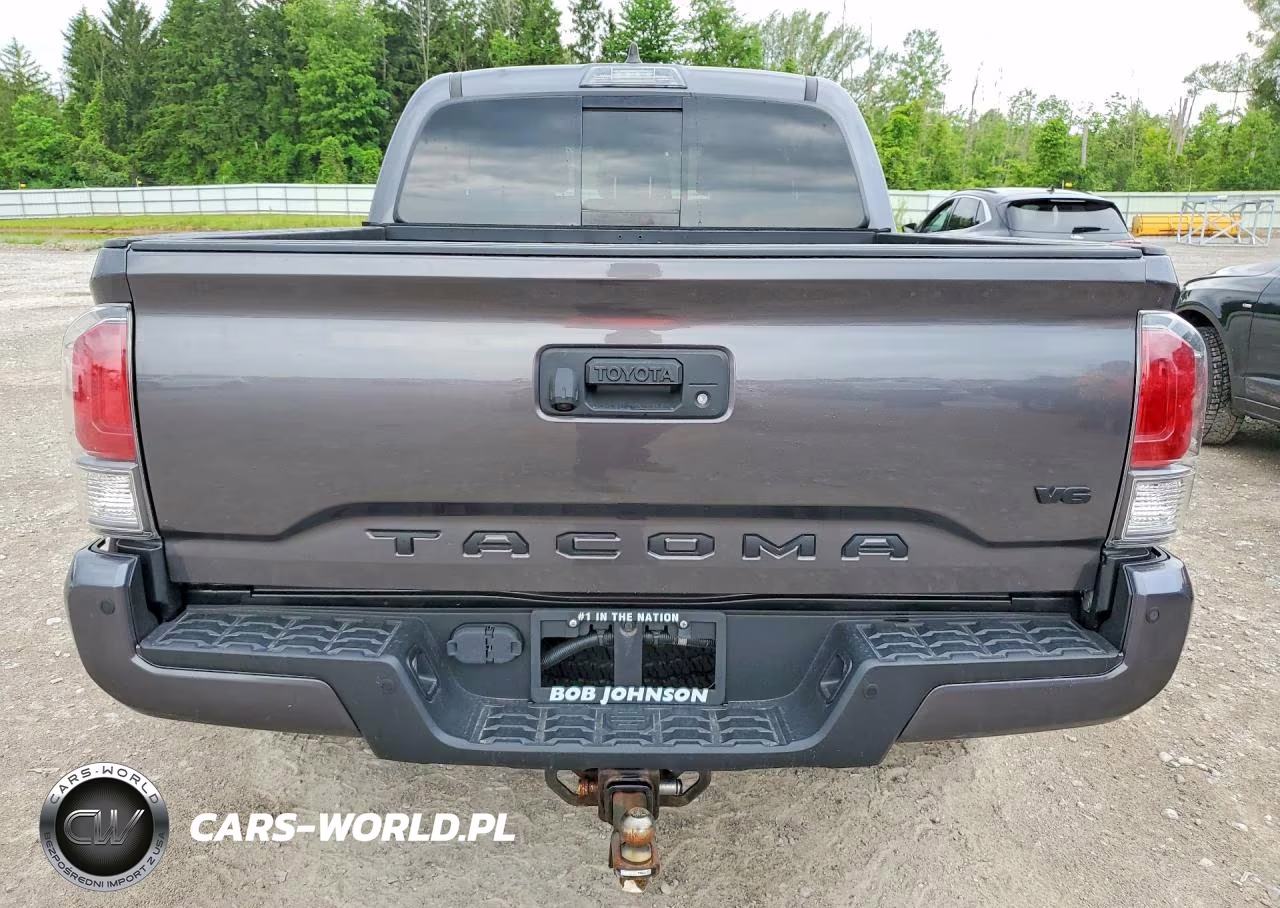 2020 Toyota Tacoma Trd Off-Road VIN:5TFCZ5AN0LX225623 - 6