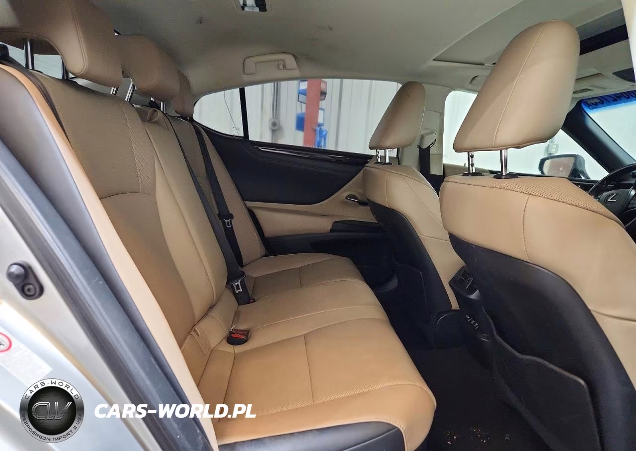 2019 Lexus Es 300H VIN:58AB21B13KU002534 - 10
