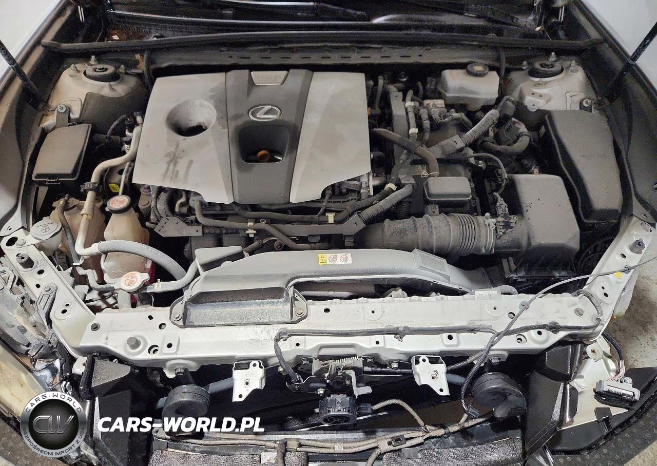 2019 Lexus Es 300H VIN:58AB21B13KU002534 - 11