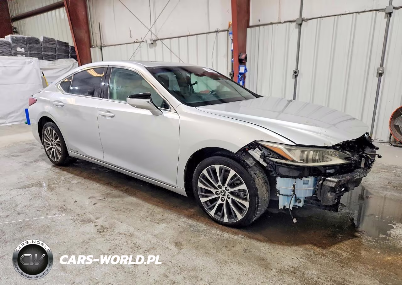 2019 Lexus Es 300H VIN:58AB21B13KU002534 - 4