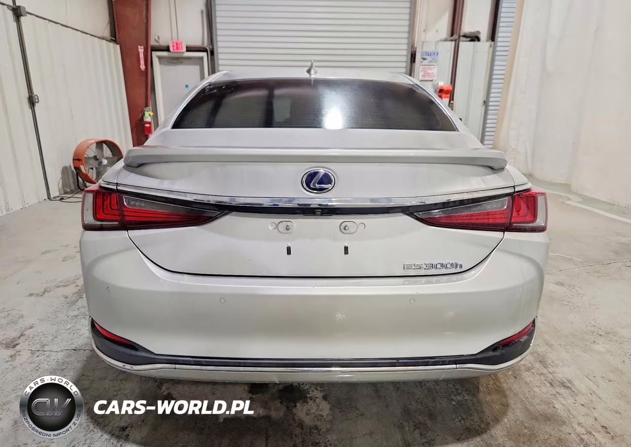 2019 Lexus Es 300H VIN:58AB21B13KU002534 - 6