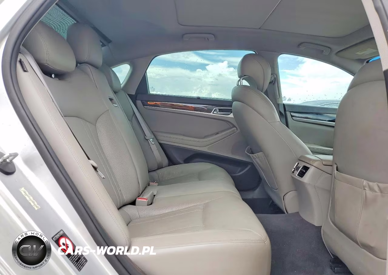2015 Hyundai Genesis 3.8L VIN:KMHGN4JE6FU058158 - 10