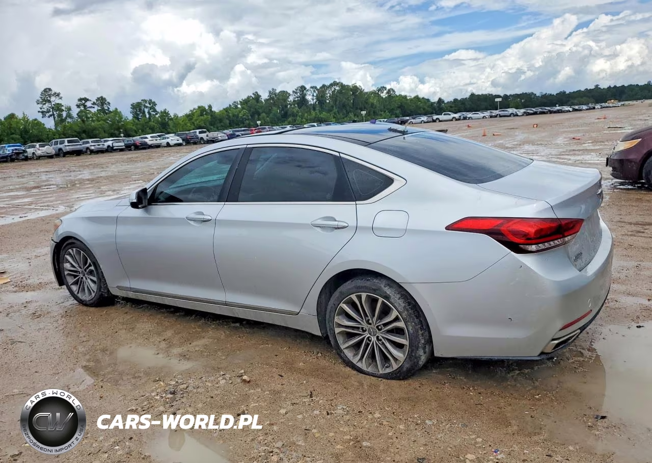 2015 Hyundai Genesis 3.8L VIN:KMHGN4JE6FU058158 - 2