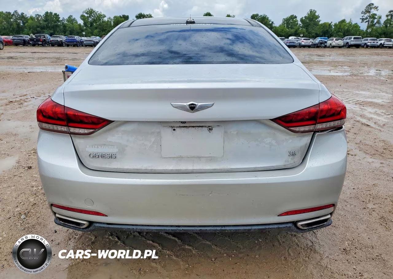 2015 Hyundai Genesis 3.8L VIN:KMHGN4JE6FU058158 - 6