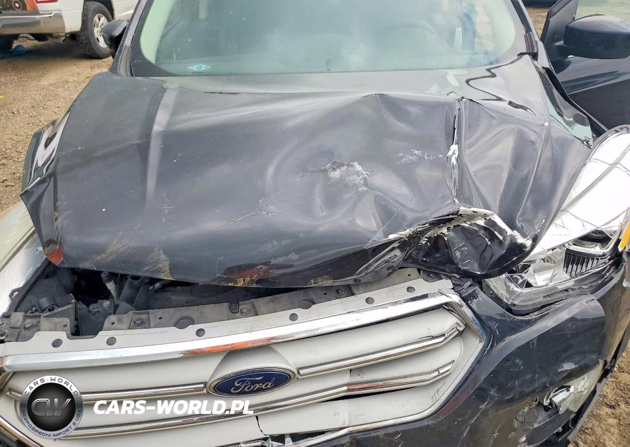 2019 Ford Escape Sel VIN:1FMCU9HD8KUB16437 - 12