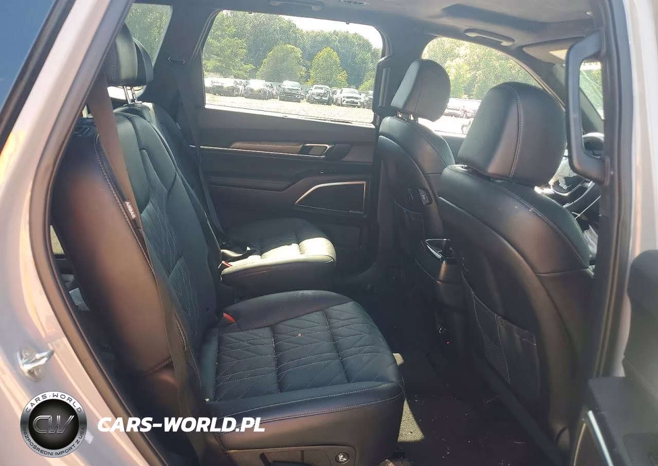 2025 Kia Telluride Sx-Prestige X-Line VIN:5XYP5DGC8SG633513 - 11