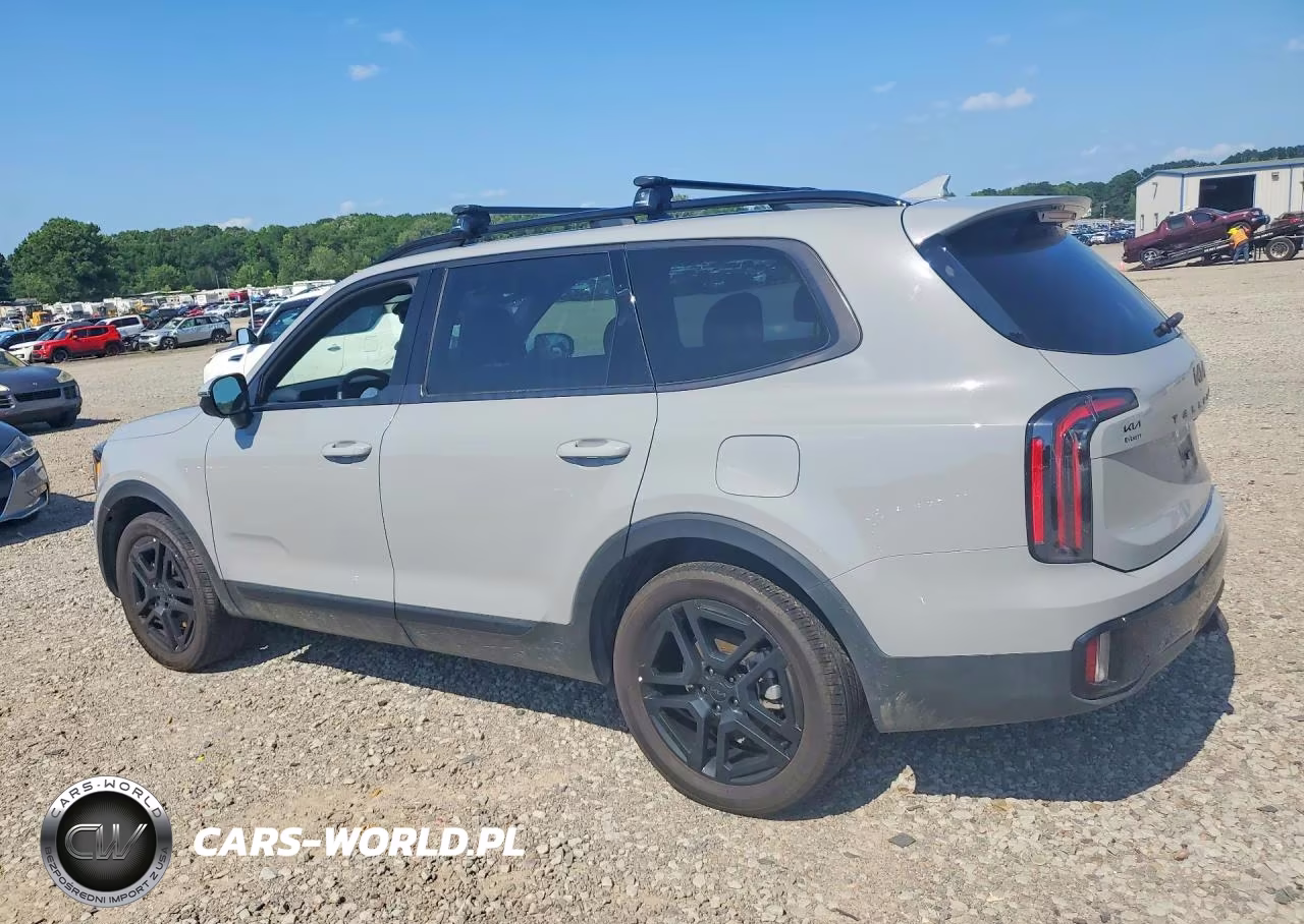 2025 Kia Telluride Sx-Prestige X-Line VIN:5XYP5DGC8SG633513 - 2